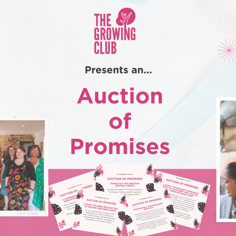 Auction of Promises